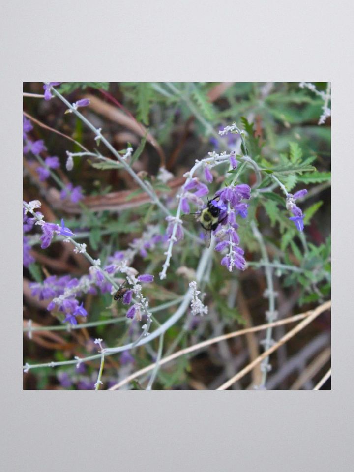 A Study in Flowers 4 - sticker version product image (3)