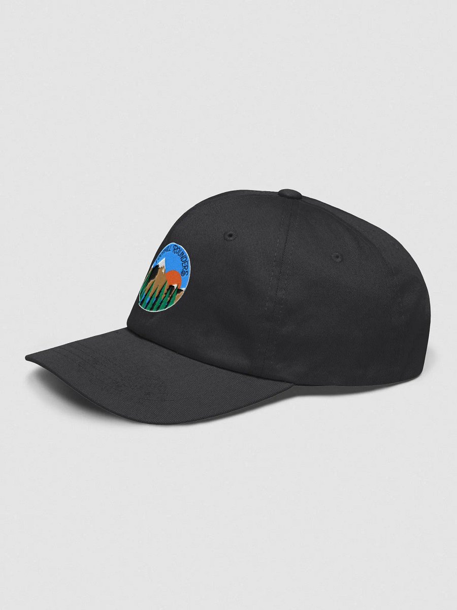 Logo cap product image (21)