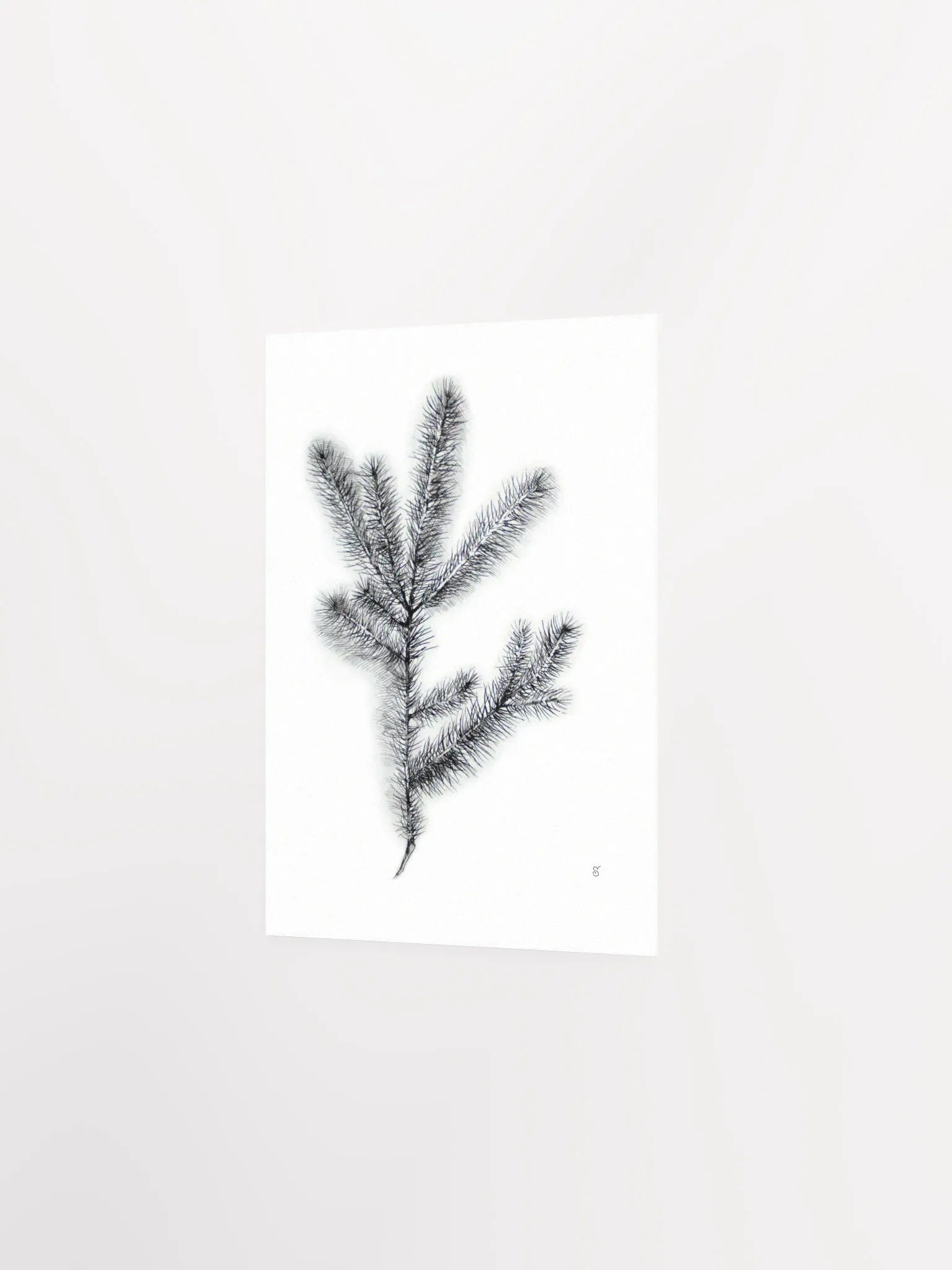 Whimsical Coniferous Branch Poster - Spruce Branch product image (2)