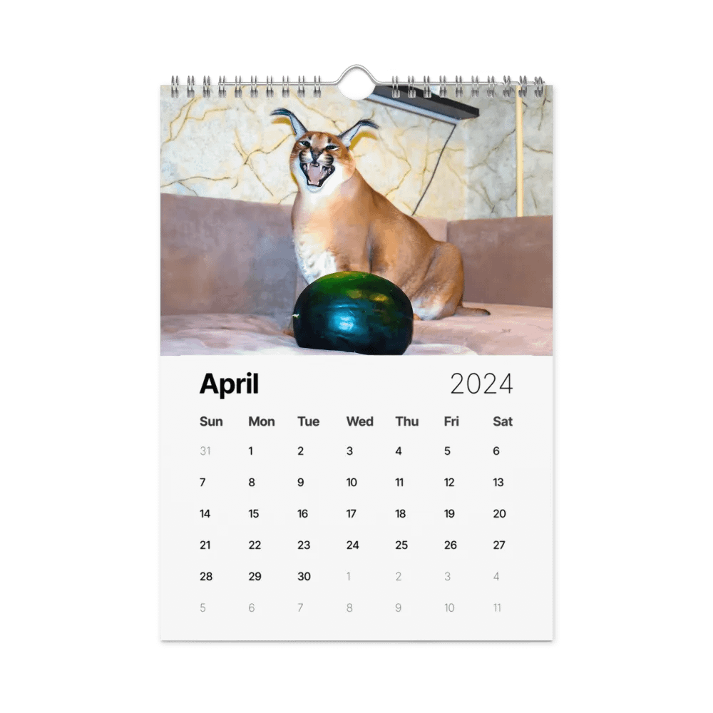 FLOPPA CALENDAR FOR 2024 product image (5)