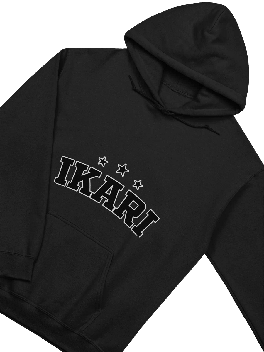 college logo — hoodie product image (4)