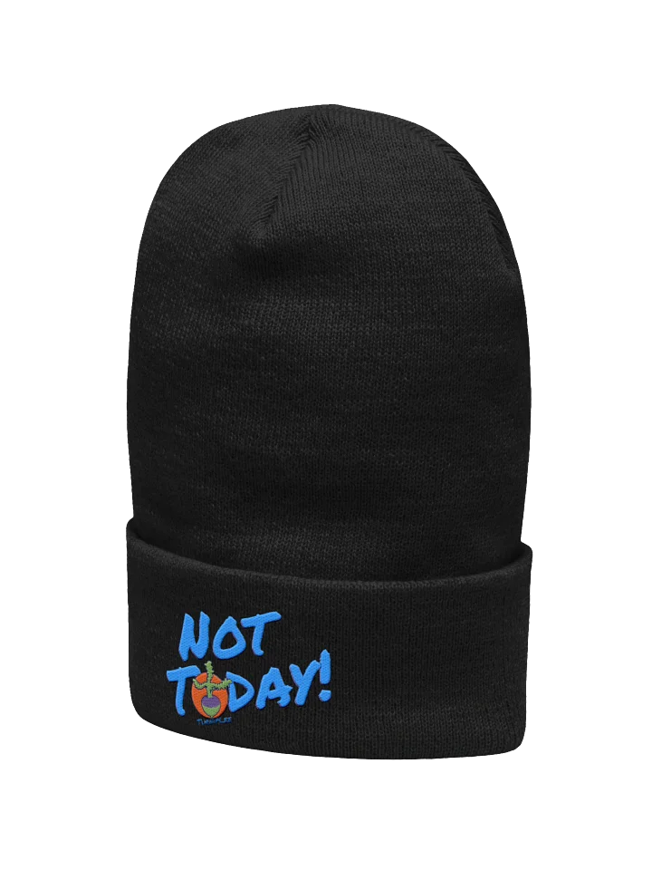 NT Cuffed Beanie product image (22)
