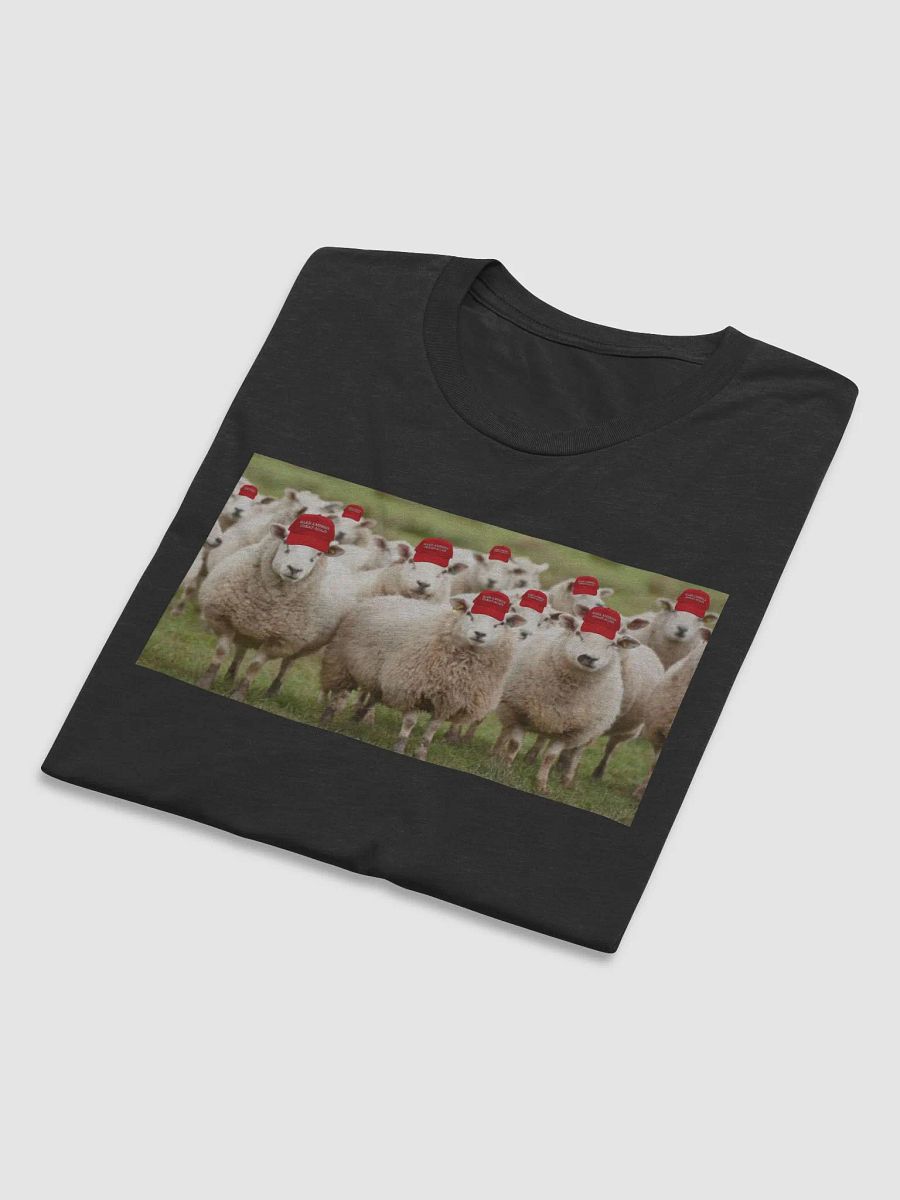 A Trump Rally! product image (5)