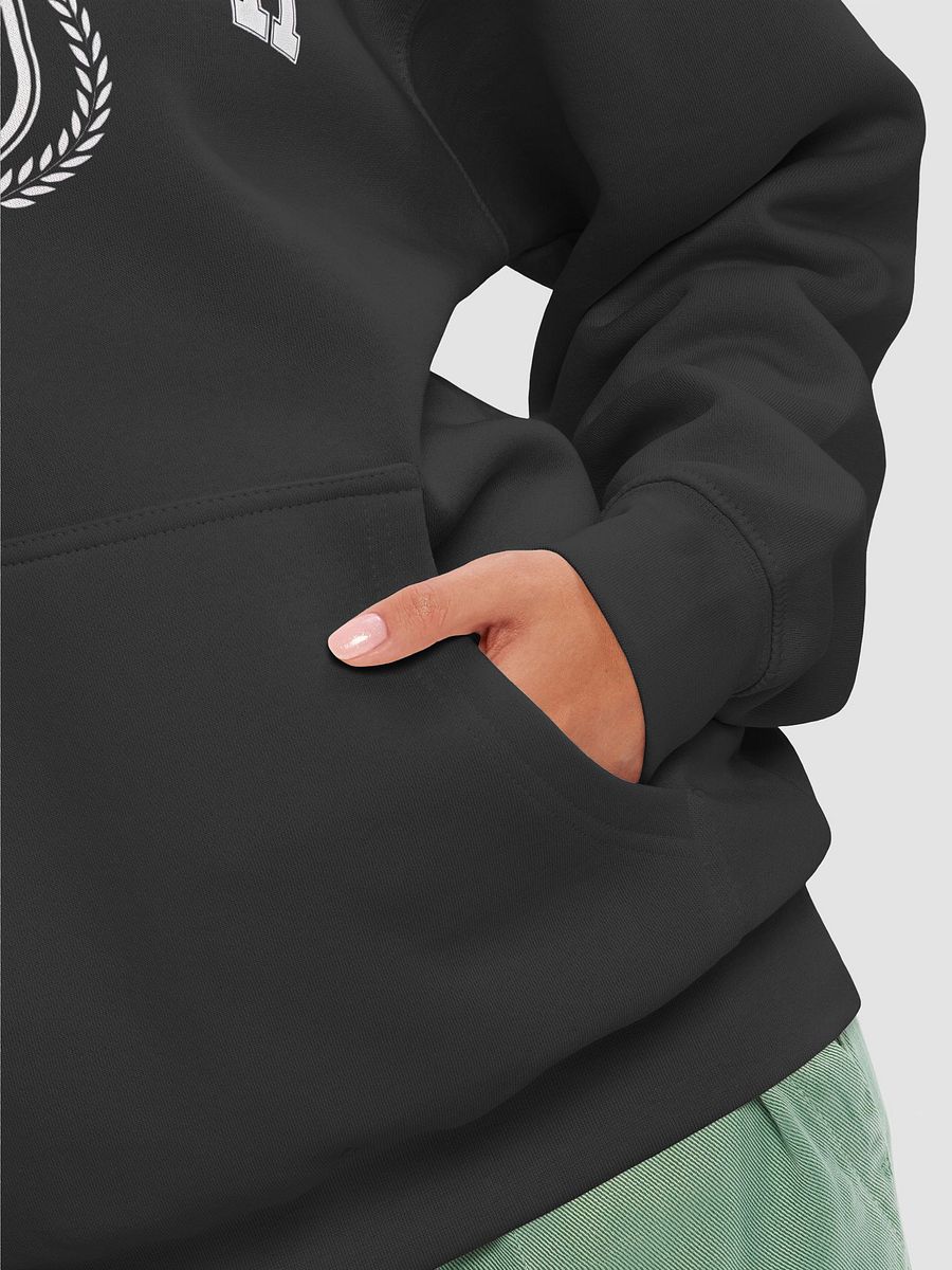 Hawk Tuah University Crest Hoodie product image (8)