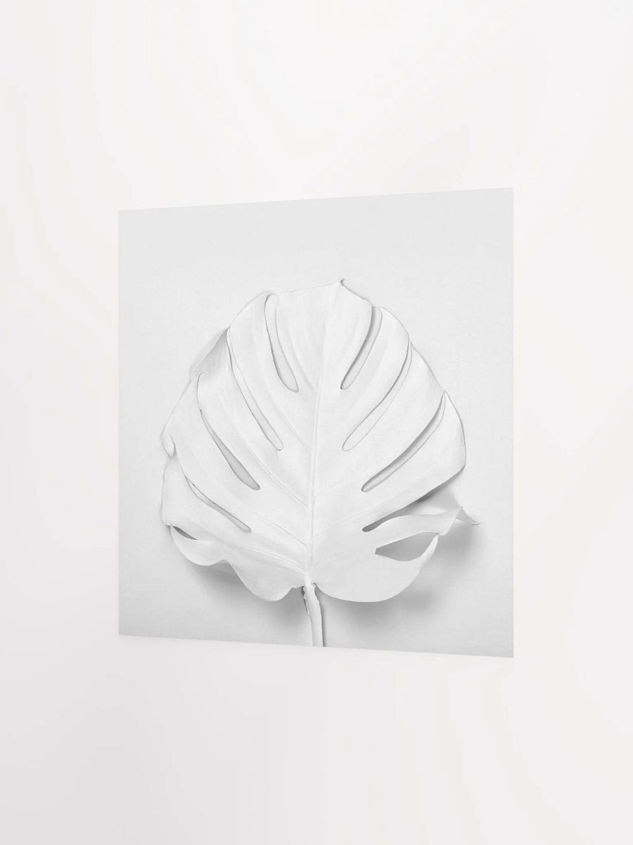 Monochrome White Monstera Leaf Art Print product image (2)
