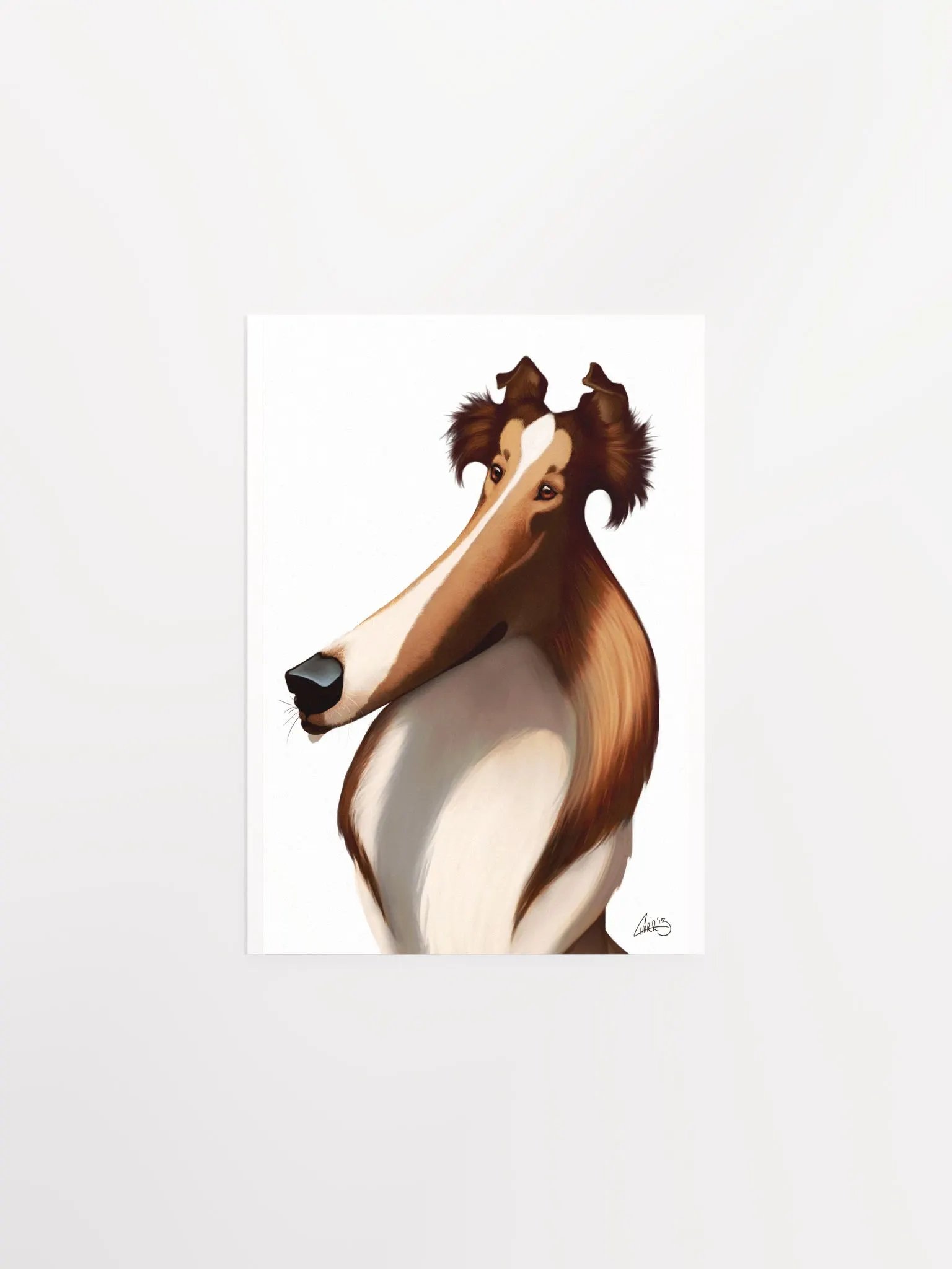 Dog Breeds: Rough Collie Print product image (4)
