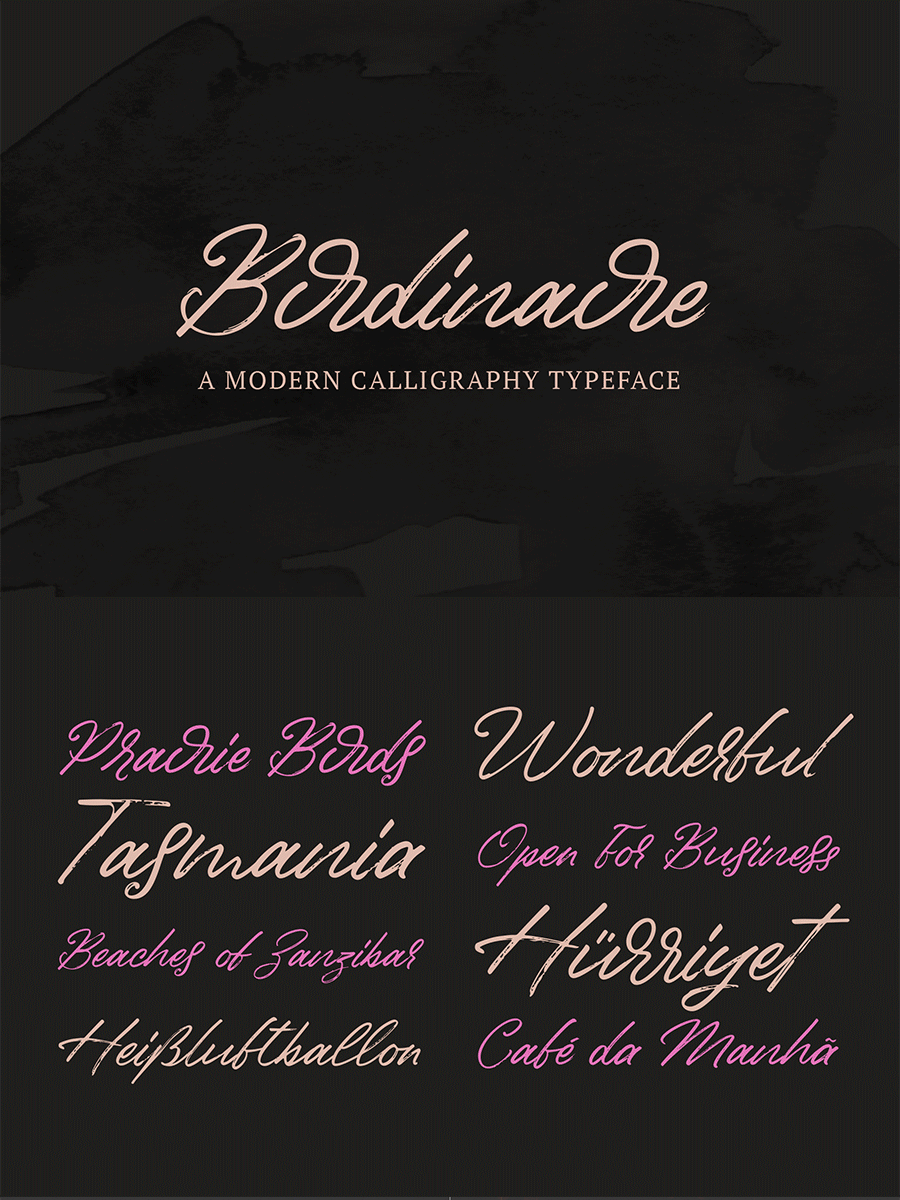 Birdinaire | A Modern Calligraphy Font product image (1)