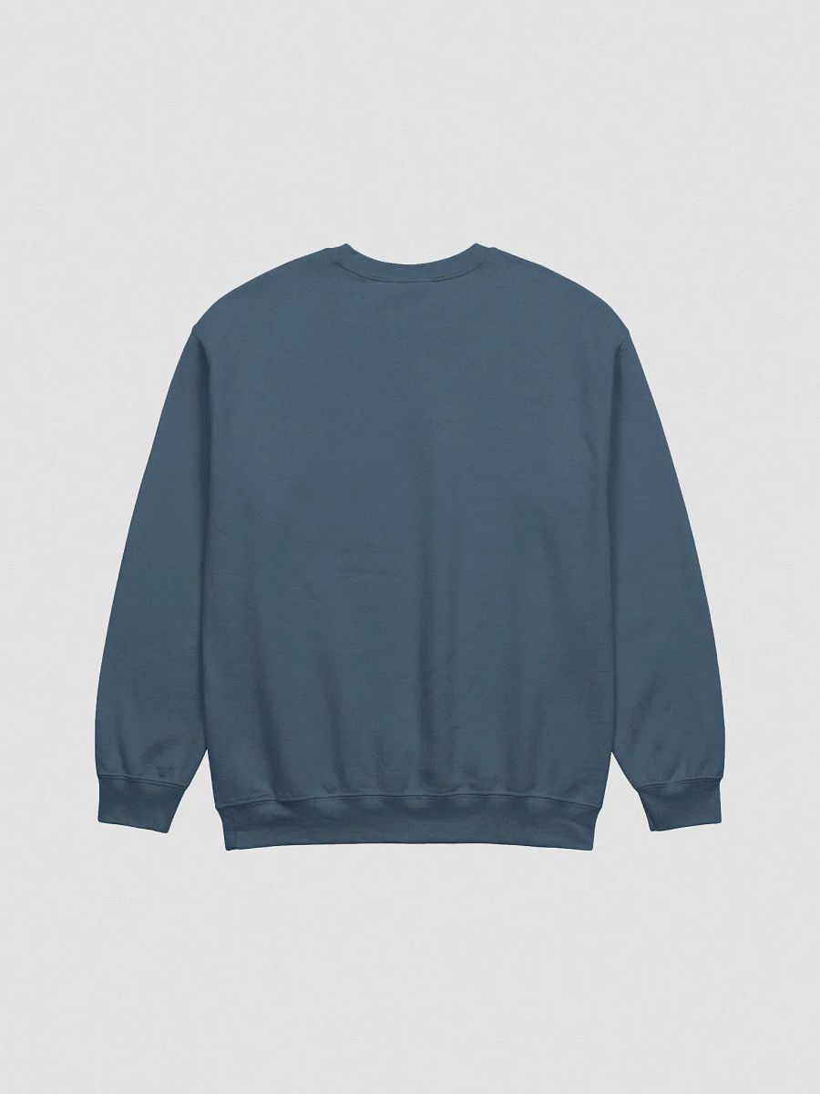 DELIGHTFULLY DIVISIVE (sc., white design) embroidered crewneck product image (6)