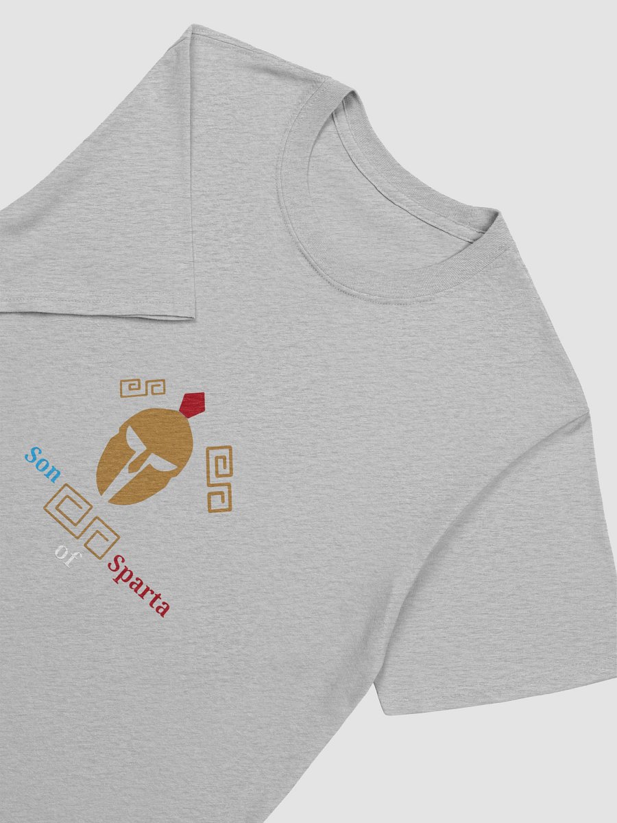 Spartan Heritage Men's Tee product image (7)