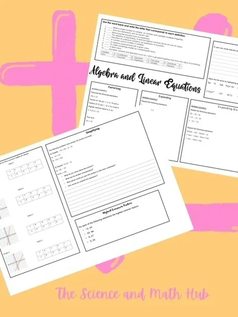 Algebra and Linear Equations Summary Sheet product image (1)