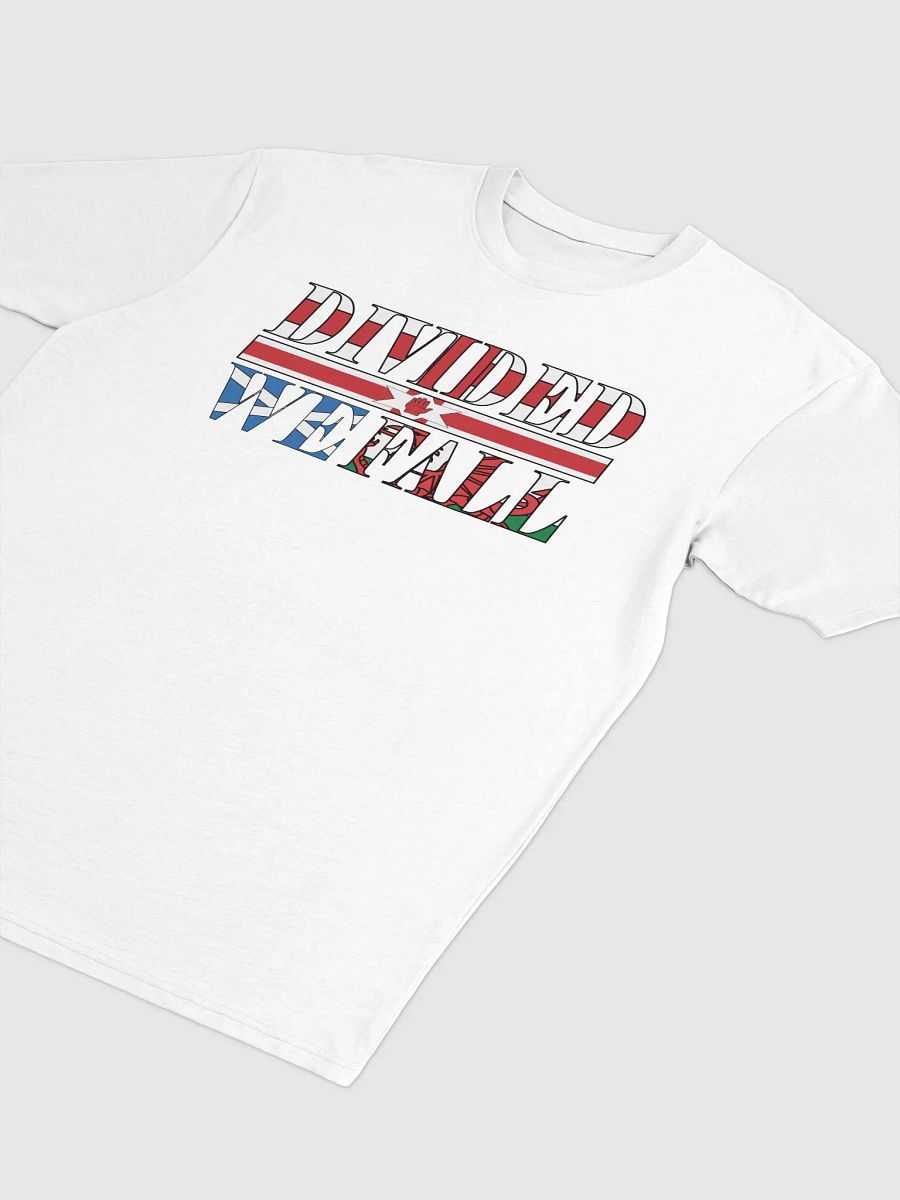 Divided We Fall - UK - Cotton Heritage Men's Premium Heavyweight Tee product image (4)