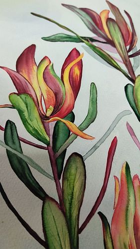 My Leucadendron painting 🌿 

Amazing masterclass from @n_a_t_ii_k in Museum of Natural History 😍  with awesome art supplies s...