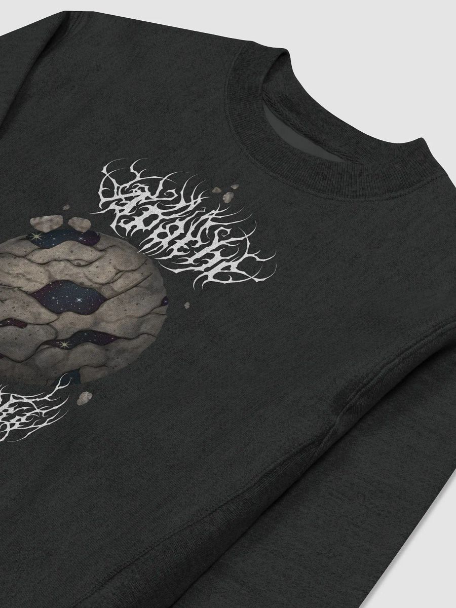 Asteroid Rift Sweater Champion product image (3)
