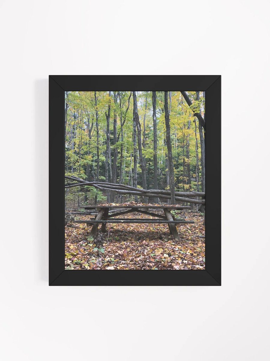Picnic Table in the Fall High Quality Matte Poster product image (4)