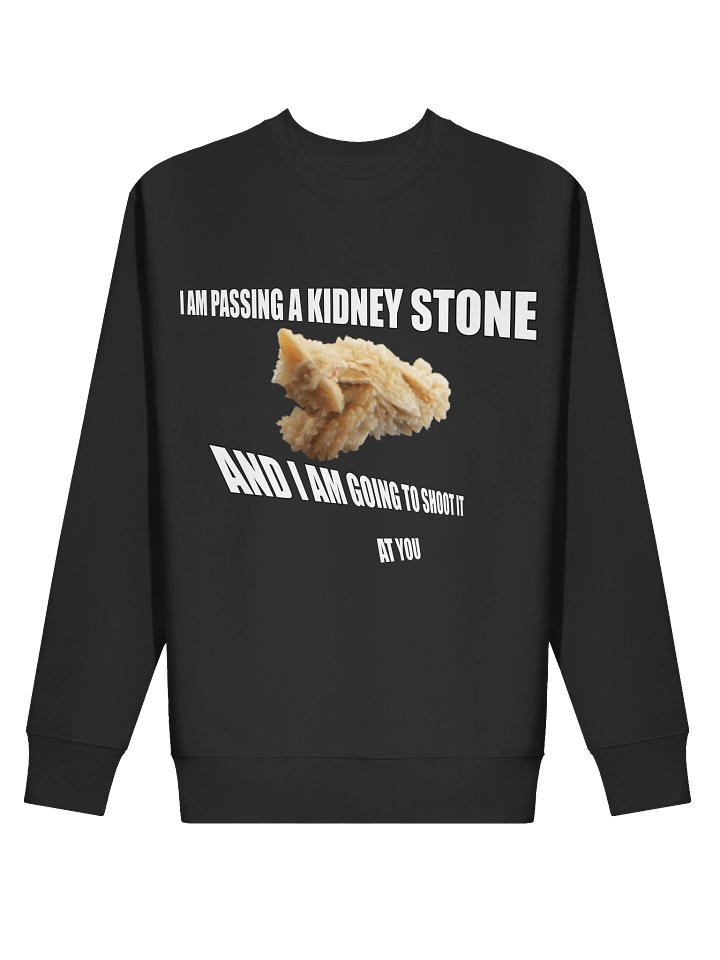 Kidney Stone product image (13)