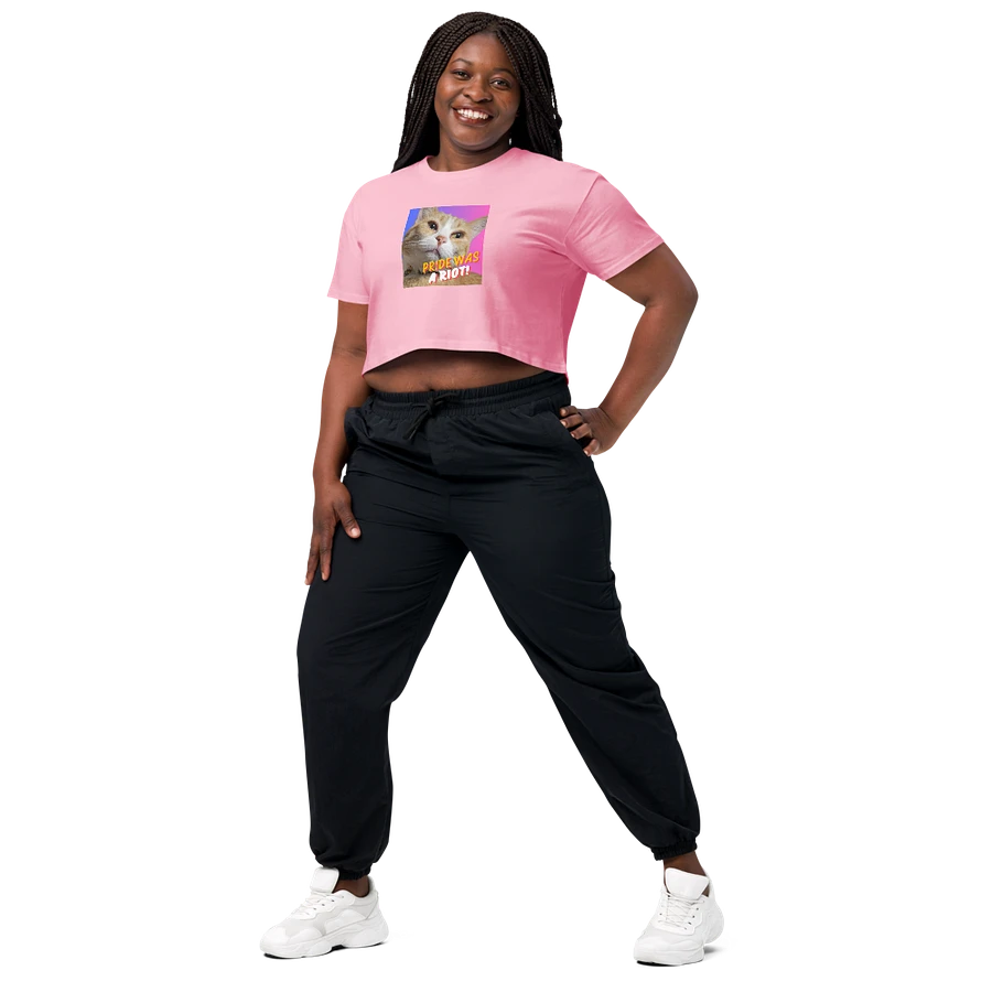 Moxie Bi-Pride Crop Top Tee product image (47)