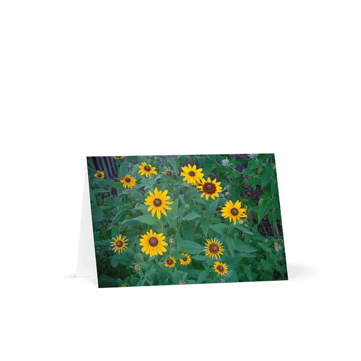 Sunshine Daisy Greeting Card product image (1)
