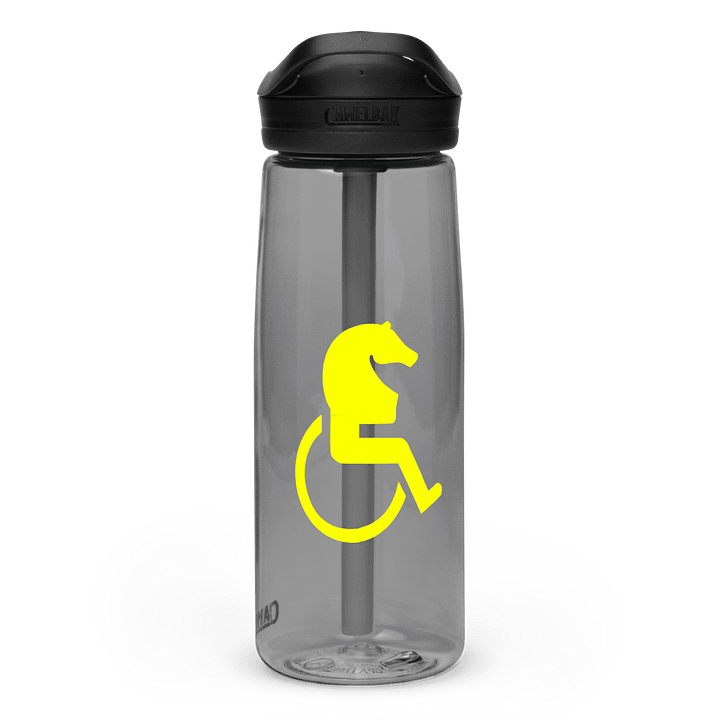 D1sabl3d water bottle with straw product image (1)