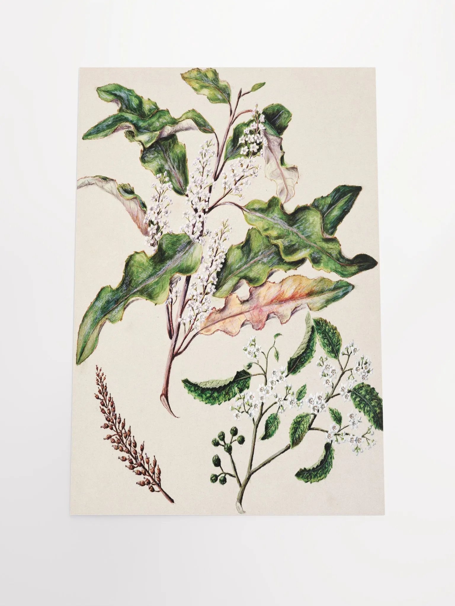 Flowers on Poster product image (1)