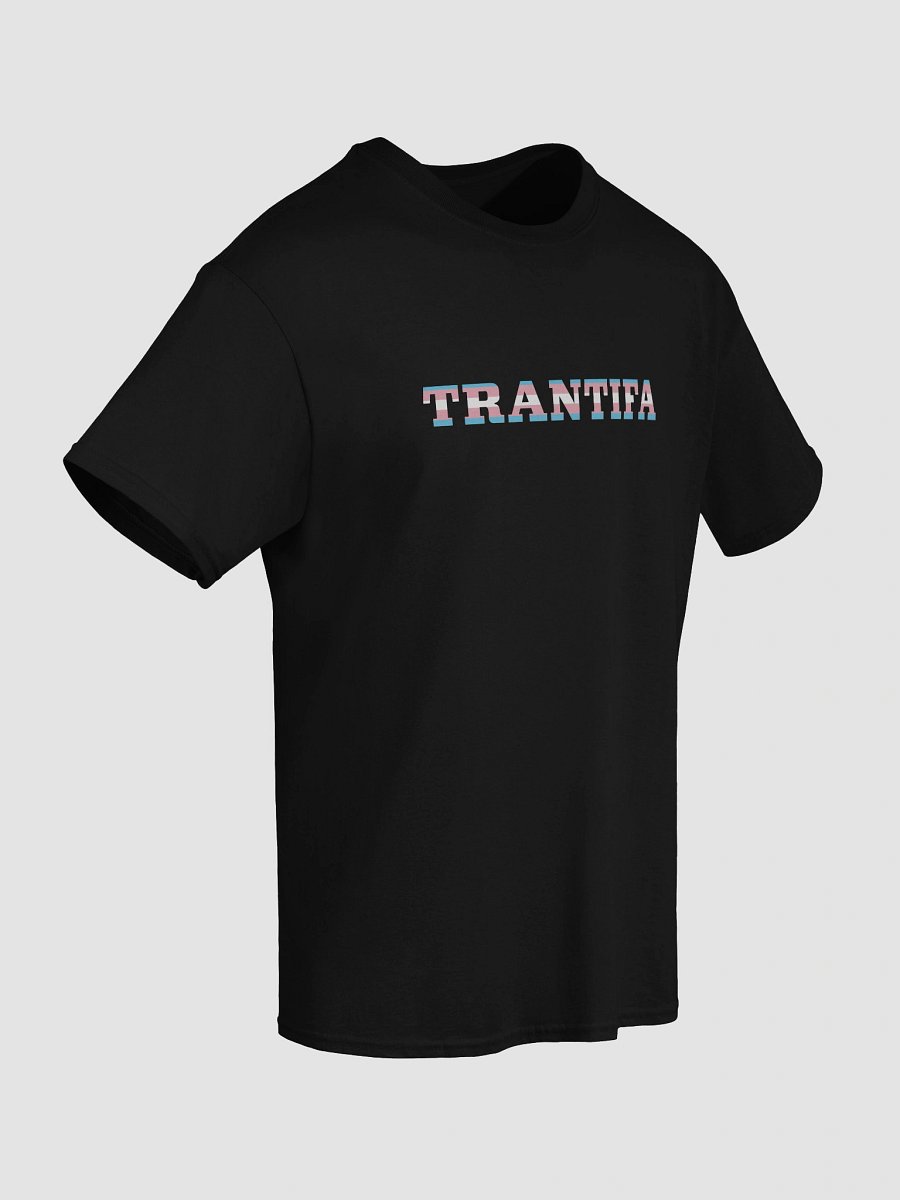 The Trantifa Tee Shirt product image (38)