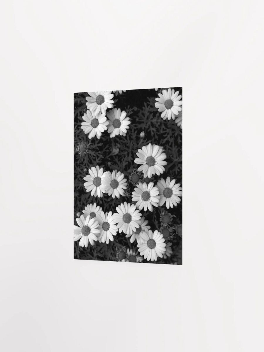 Margaritas - Enhanced Matte Paper Poster product image (2)