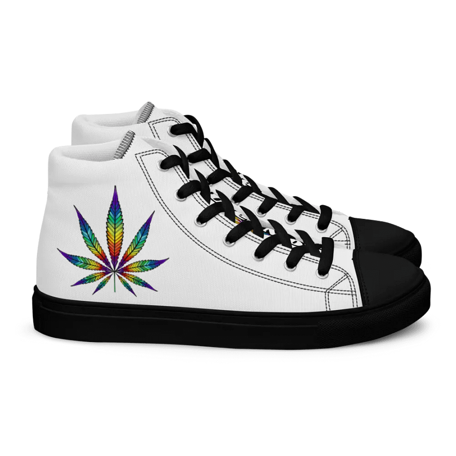 rainbow pot mens shoes product image (2)