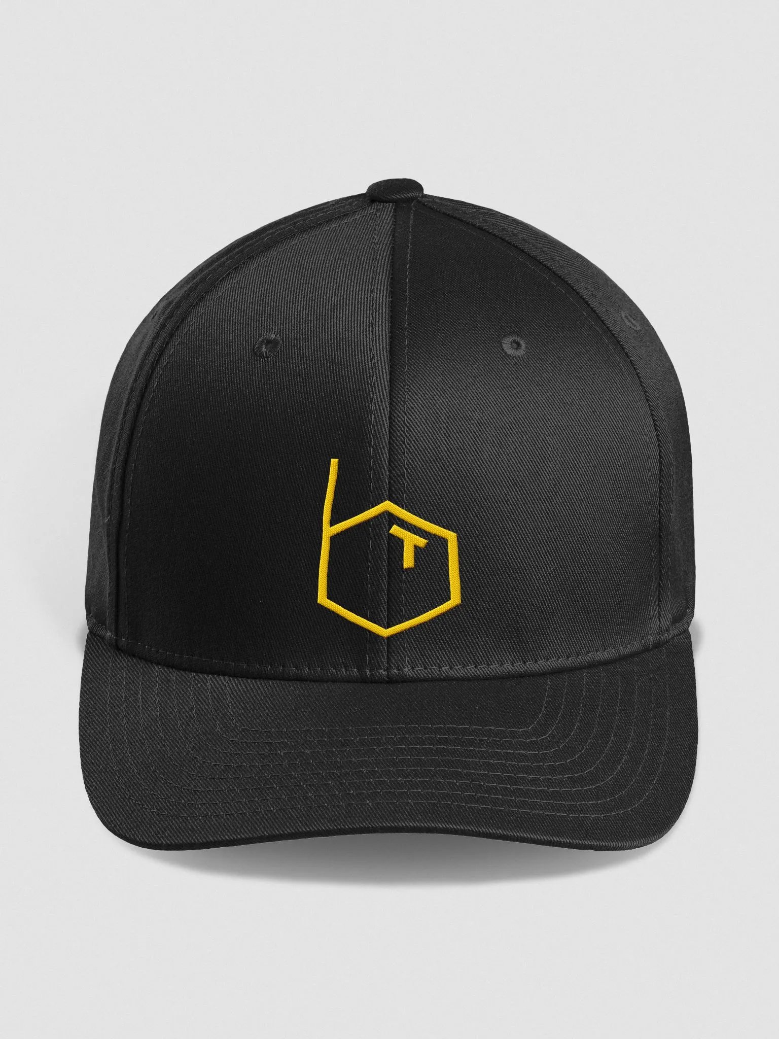 'BT' Logo Flex Fit Hat product image (1)