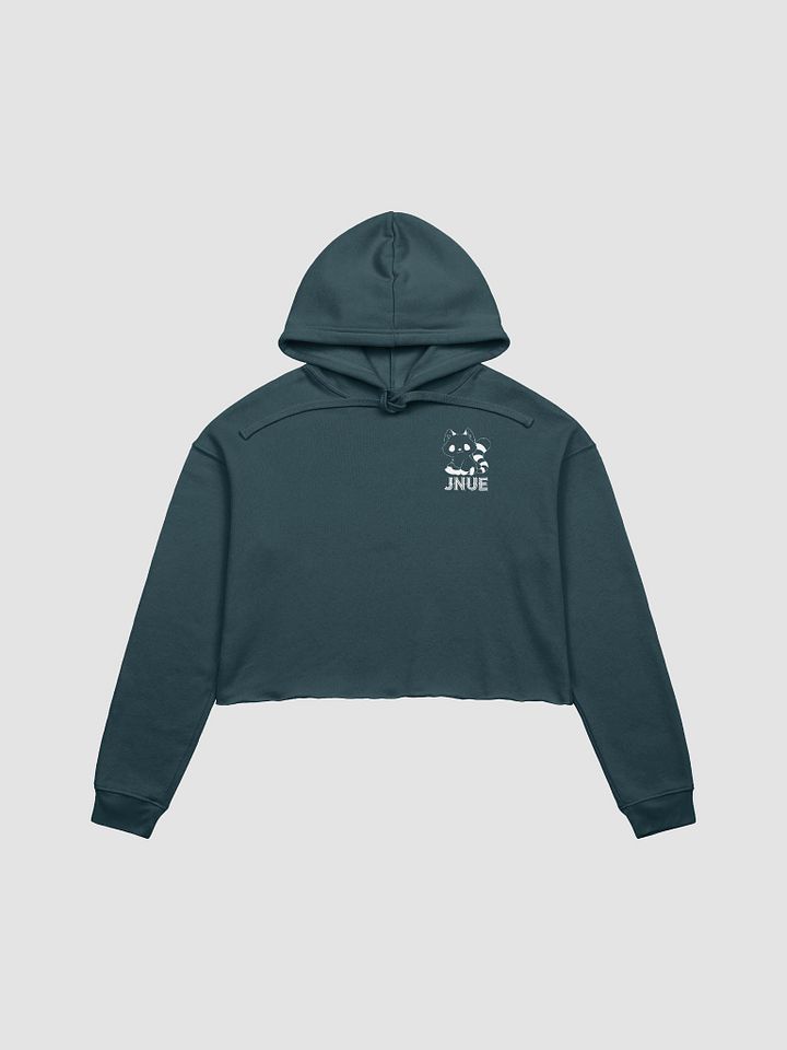 Crop Top Hoodie product image (1)