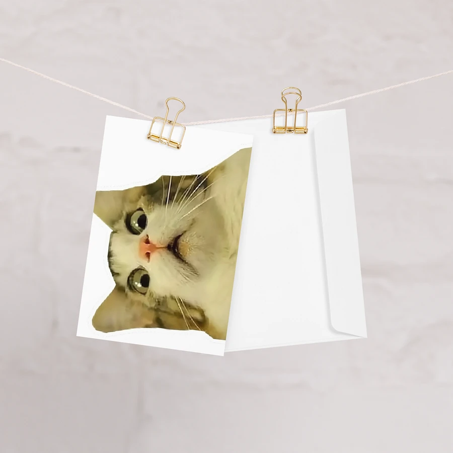 Greeting Card: Meme Cats product image (28)