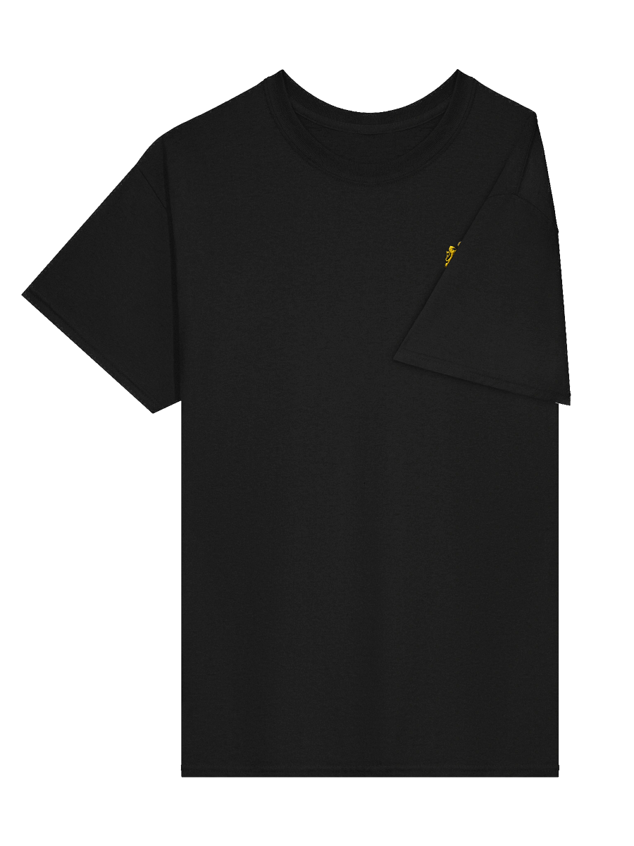 Black Eagles embroidered t-shirt product image (13)