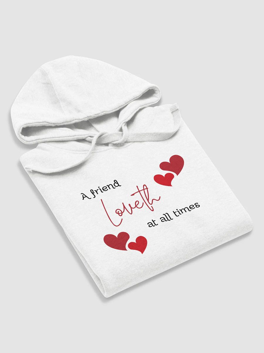 A Friend Loveth at All Times Unisex Hoodie product image (3)