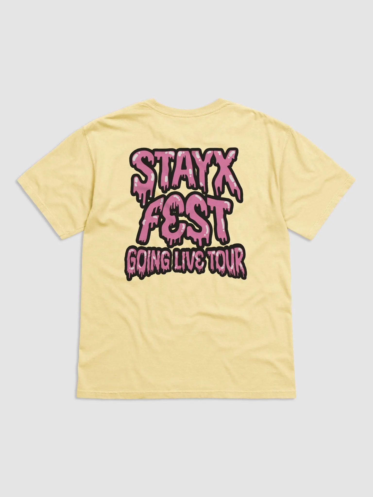 Stayx Fest- Festival Tee product image (2)