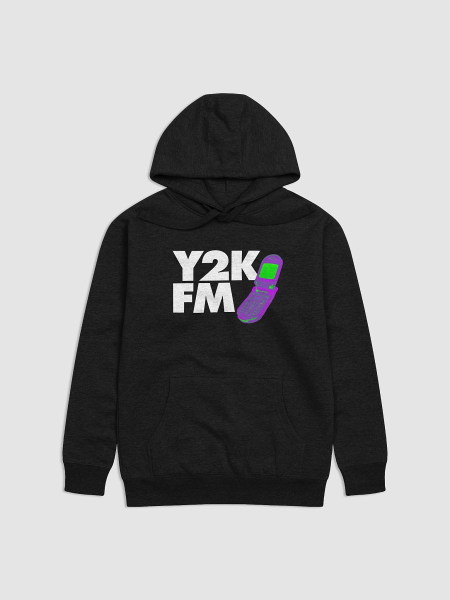 Y2K FM Logo Hoodie product image (2)