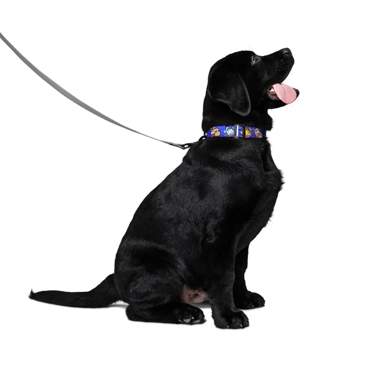 ''Patates intergalactiques'' Collier pour animal (M) product image (2)