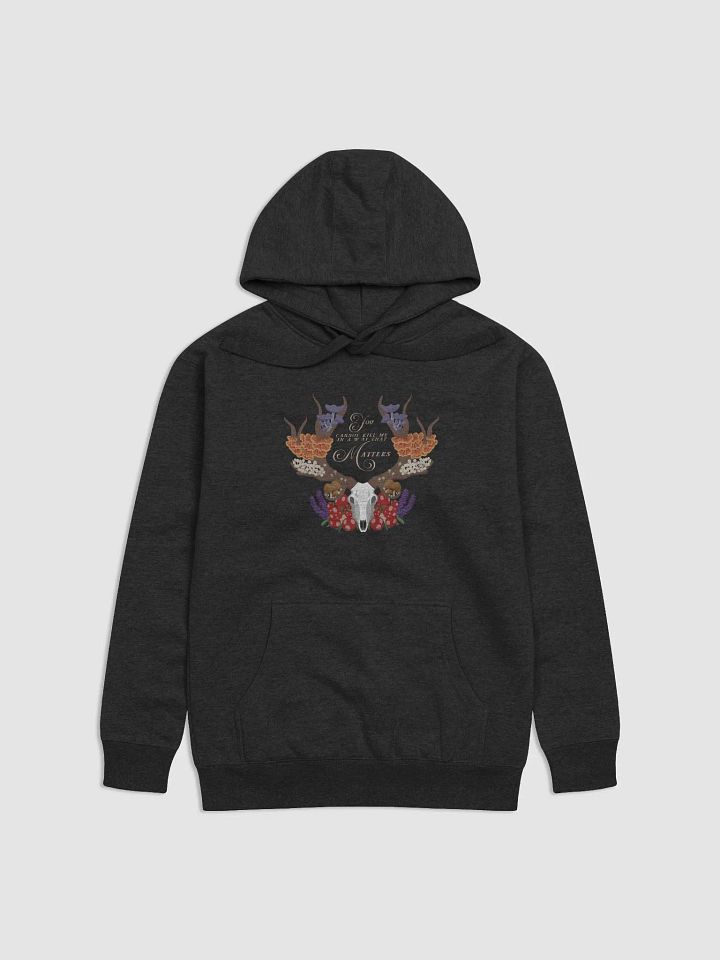 Decay Exists Hoodie product image (4)