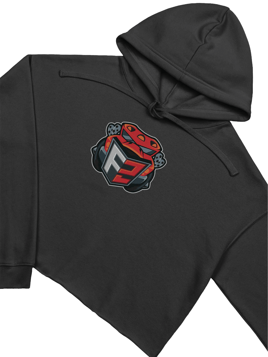 F2 Crop Hoodie product image (3)
