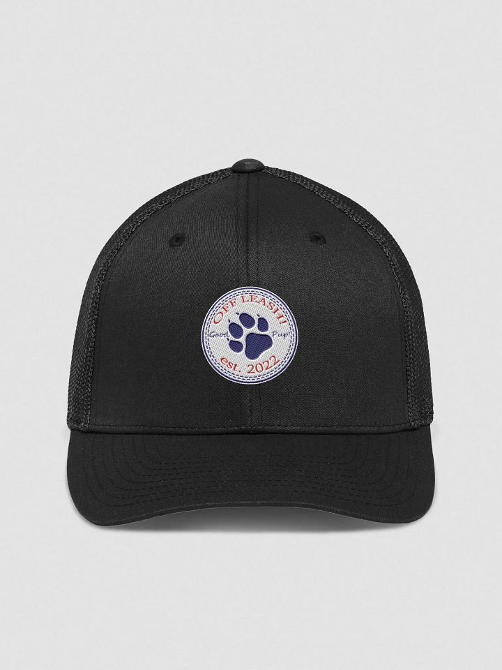 FlexFit Cap product image (4)