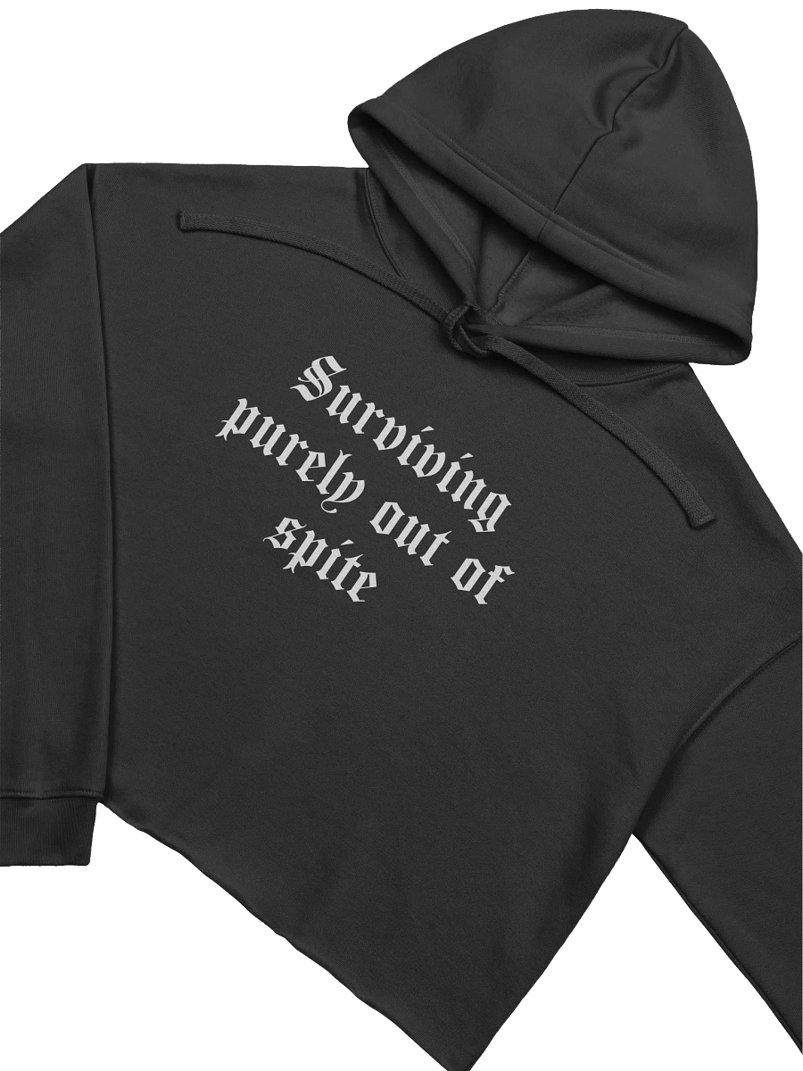 Surviving cropped hoodie product image (3)