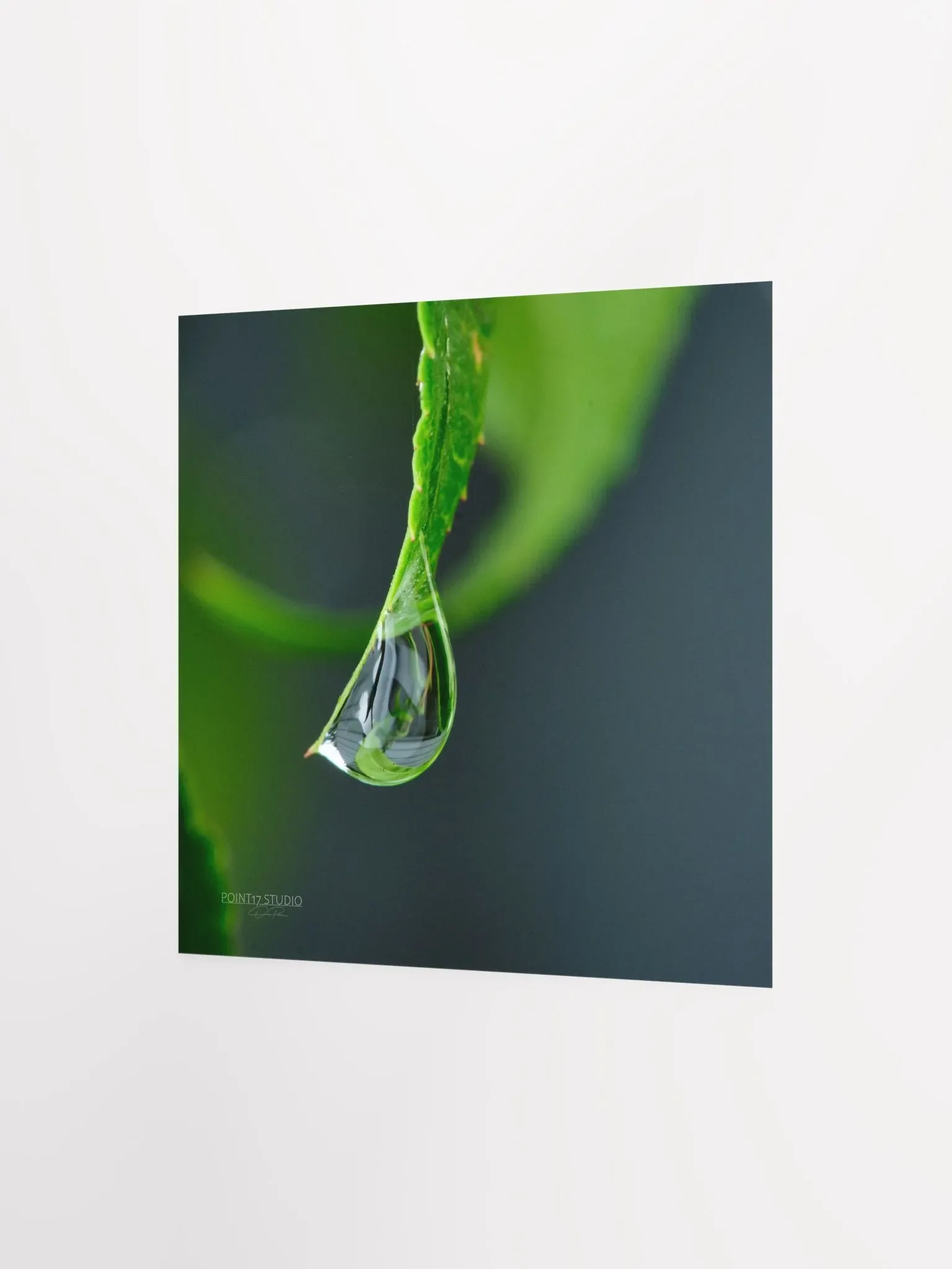Dew Gems #4 - Print product image (4)