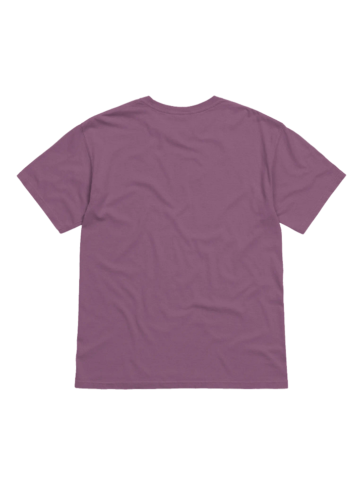 Sit Embroidered T-Shirt product image (20)
