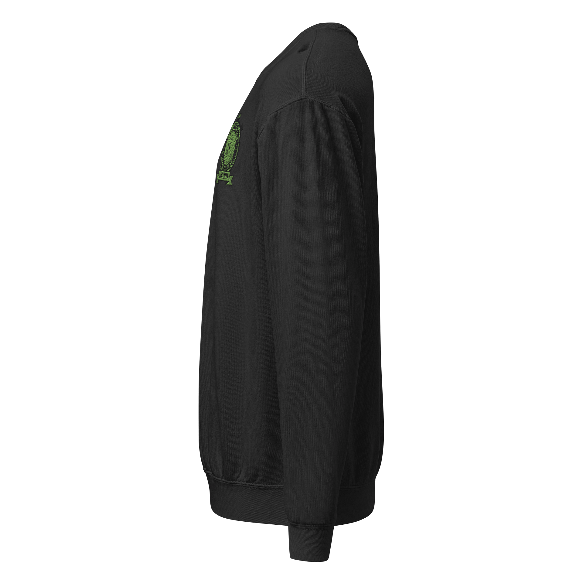 Slightly Faster Award embroidered crewneck product image (3)