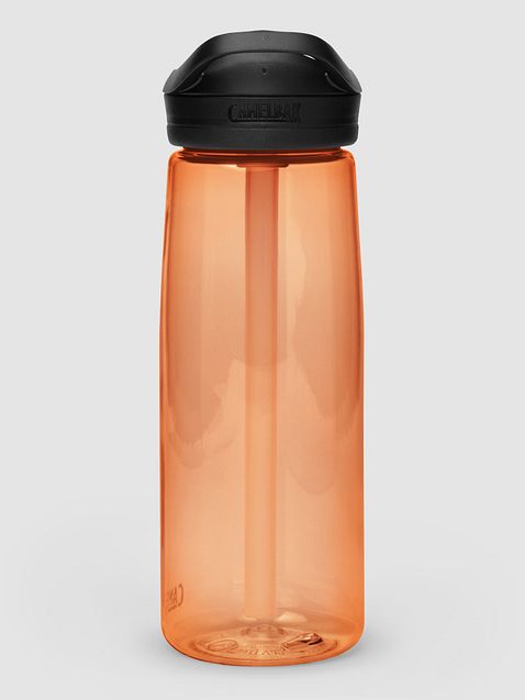 Photo showing  CamelBak Eddy®+  Sports Water Bottle
