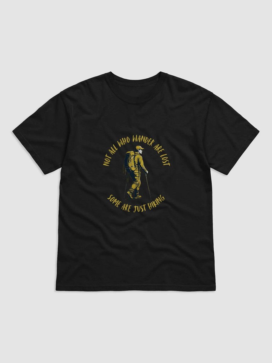 Not All Who Wander product image (1)