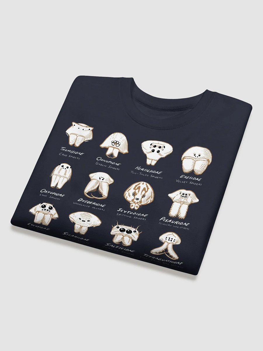 Spider Families Eye Arrangements Sweatshirt product image (21)