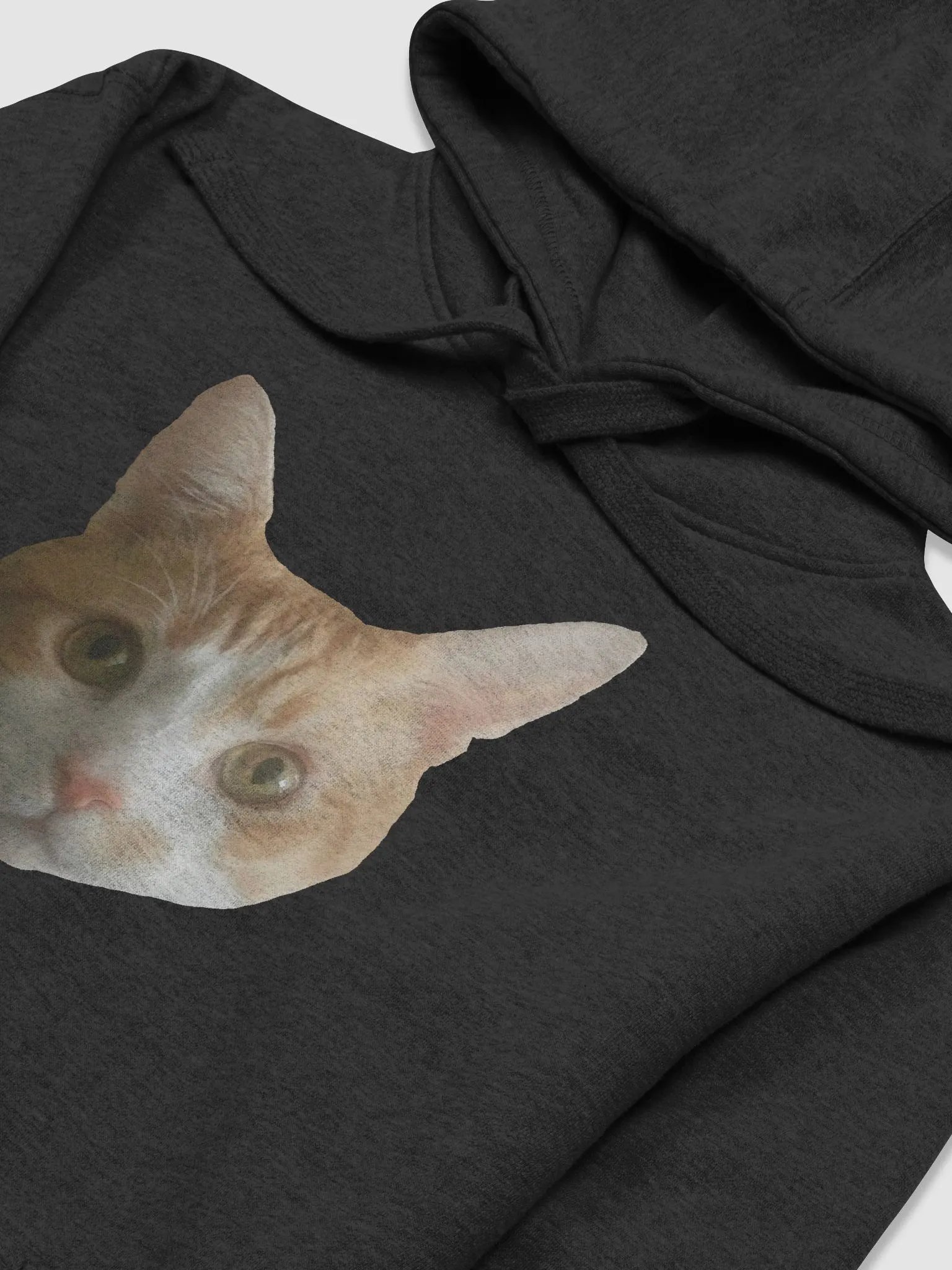 Remembering Bob Hoodie product image (3)