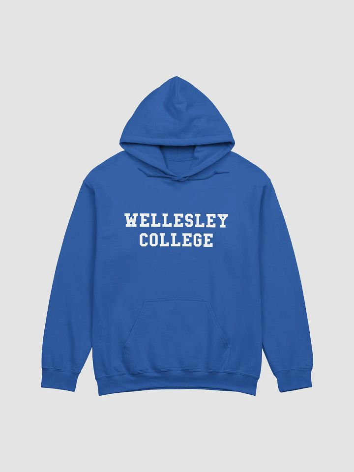 Reunion Classic Hoodie product image (3)