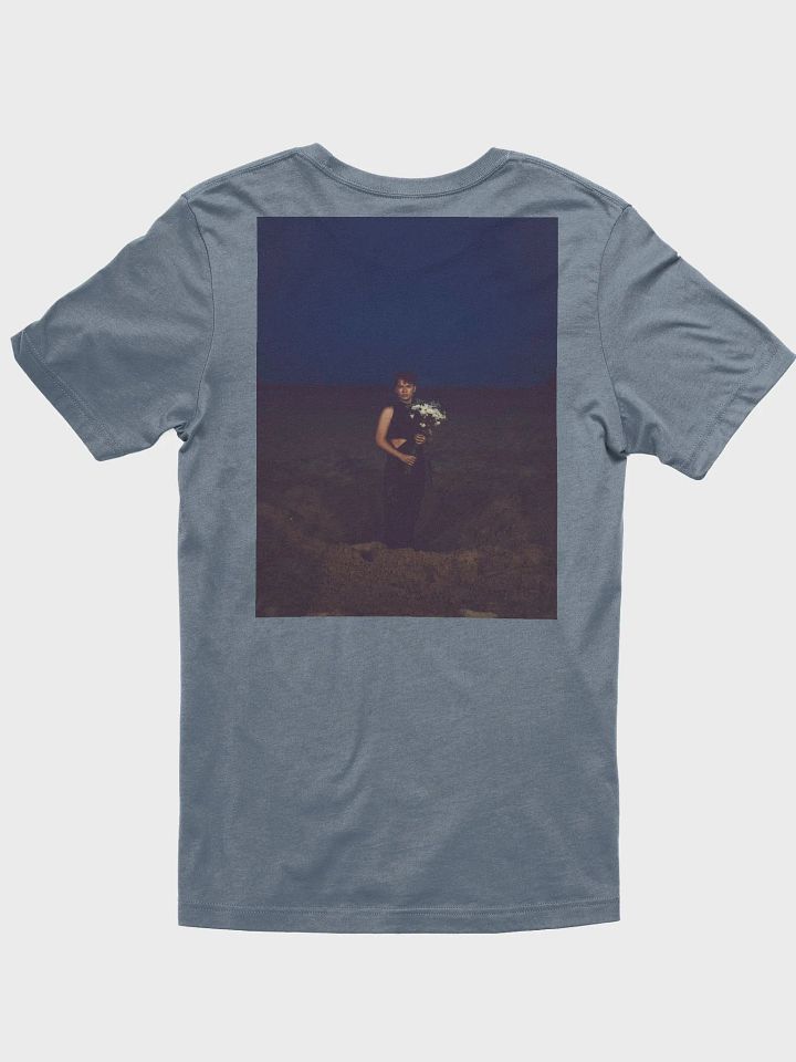 Hummingbirds Quote + Key Art product image (2)