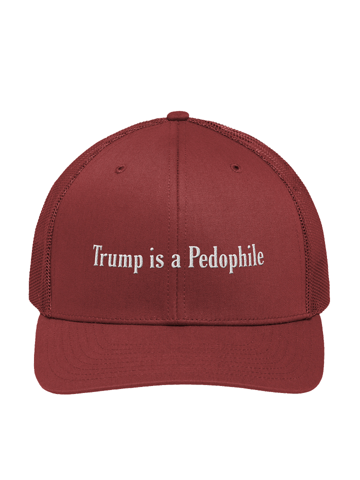 Trump is a Pedo Trucker Hat product image (1)