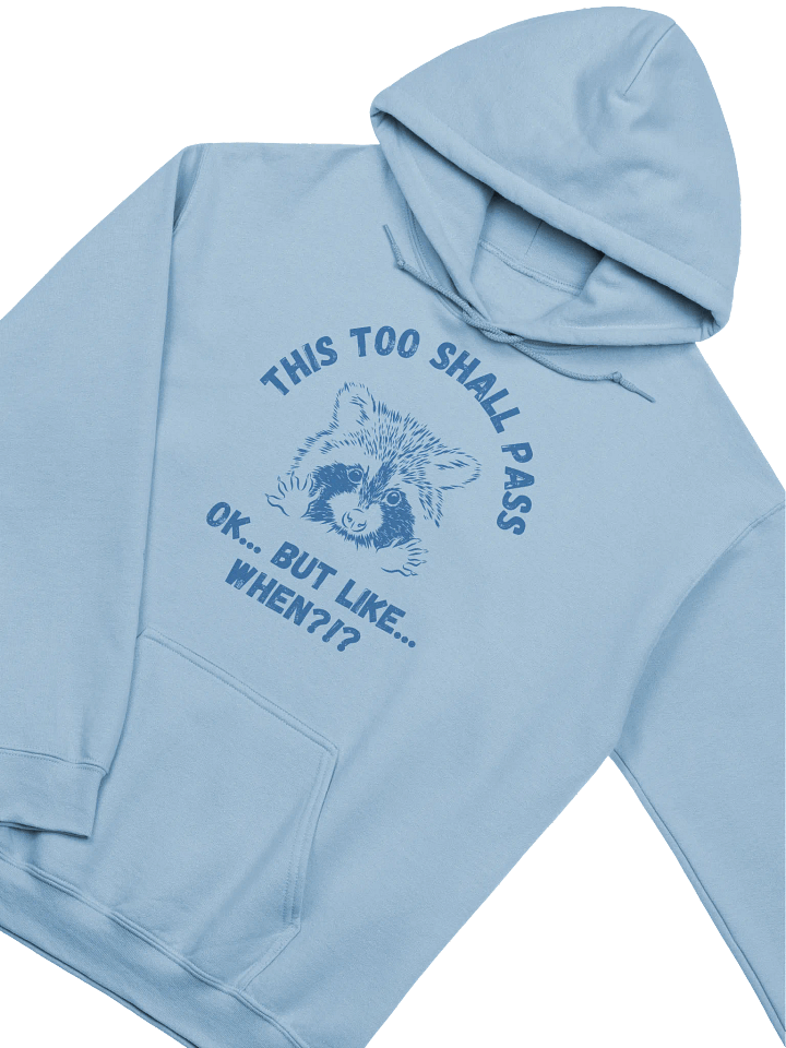 This Too Shall Pass Hoodie product image (2)