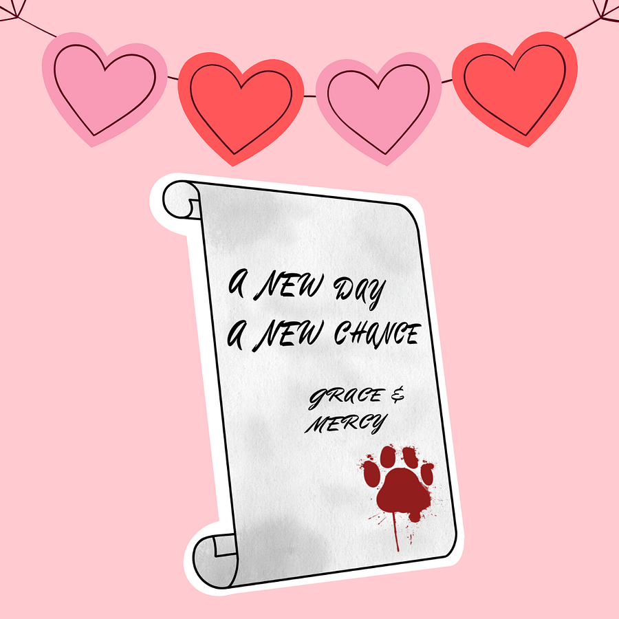 WORDS OF ENCOURAGMENT product image (6)